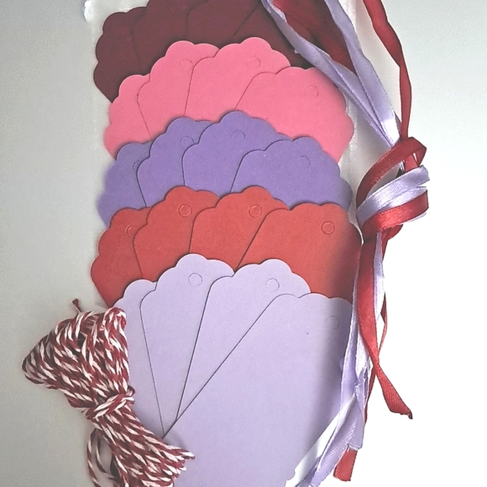 20 Hang Tags With Ties And Bag